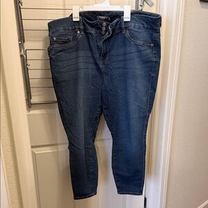 Torrid Dark Blue Jeggings